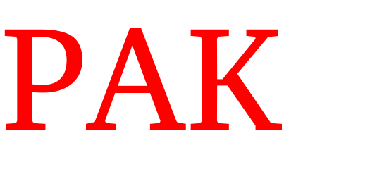 Pak Generators